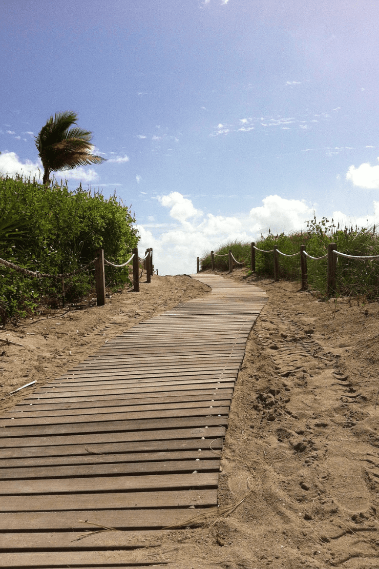 Miami Sun, Sand, and City Sights